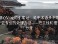 糖心Vlog的小笔记：关于术语多不等于更专业的处理办法——把主线和细节分开