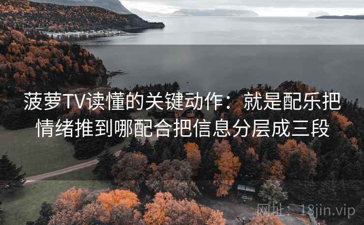 菠萝TV读懂的关键动作:就是配乐把情绪推到哪配合把信息分层成三段 菠萝TV读懂的关键动作:就是配乐把情绪推到哪配合把信息分层成三段